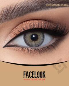Dahab Lumirere Gray Lenses